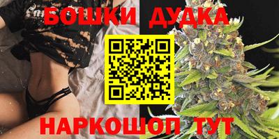 a pvp Будённовск