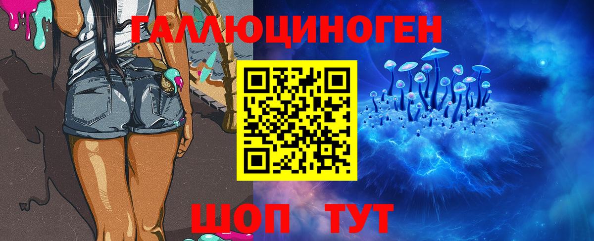 наркошоп  Выборг  Псилоцибиновые грибы прущие грибы 