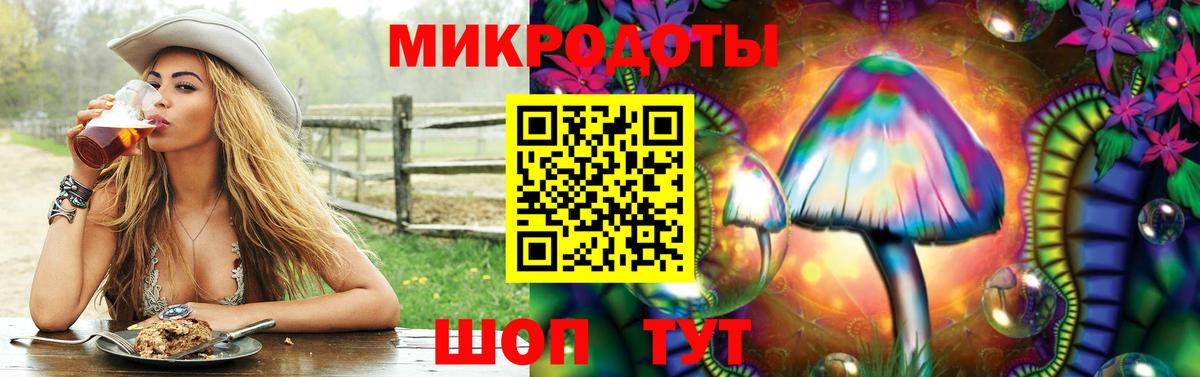 Псилоцибиновые грибы Psilocybine cubensis  Псилоцибиновые грибы прущие грибы  Выборг  Вход с VPN 