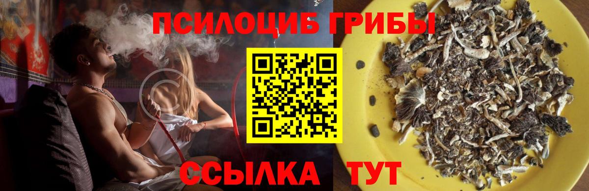 Каннабис  Вход с VPN  Гарик  XTC  Выборг  Меф  Марки  Мяу-Мяу  Кокаин 